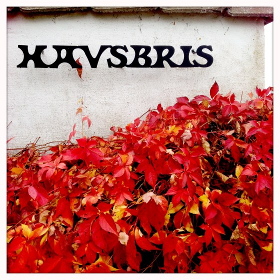 Båstad Havsbris Jenny Silver