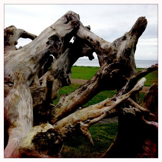 Båstad Log Jenny Silver